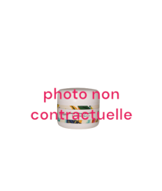 Baume Ultra réparatrice Ile...