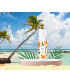 FLUIDE NETTOYANT MOUSSANT...